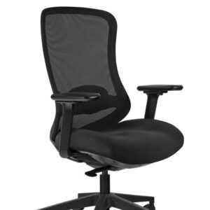 ADAPTA (SK-6255) – CB-01 BLACK, HZ-08 BLACK