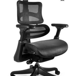 ERGOTHRONE