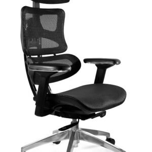 ERGOTECH – CHROME FRAME