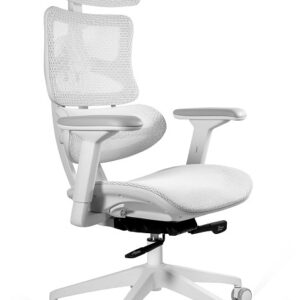 ERGOTECH – WHITE FRAME