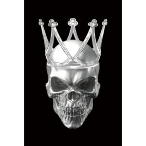 Obraz Skull II