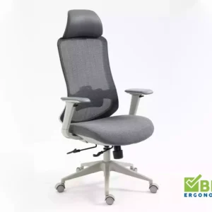 Fotel obrotowy Ergon