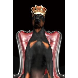 Obraz Dog in Crown